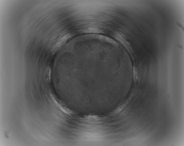 X0000101980157200808081623