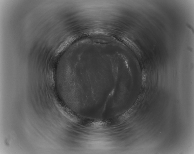 X0000101980158200808081623