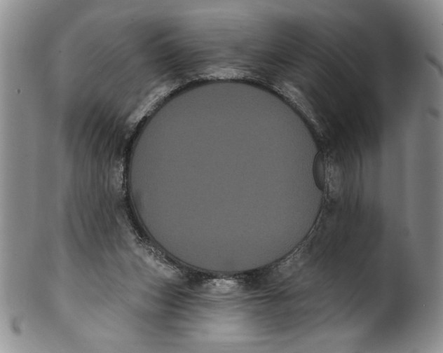 X0000101980159200808081623