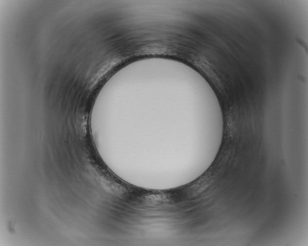 X0000101980160200808081623