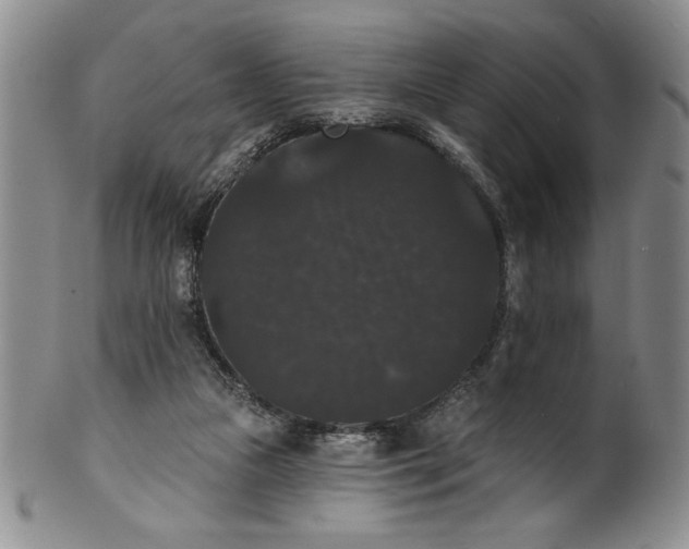 X0000101980161200808081623