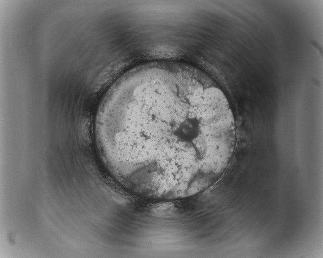 X0000101980162200808081623