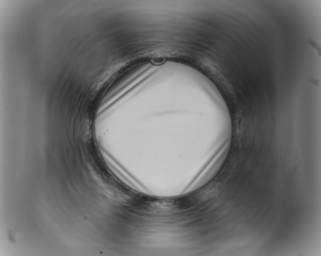 X0000101980164200808081623