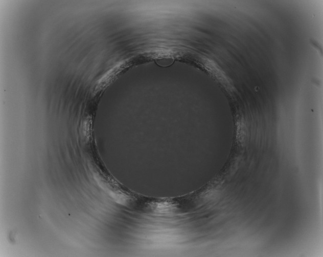 X0000101980165200808081624