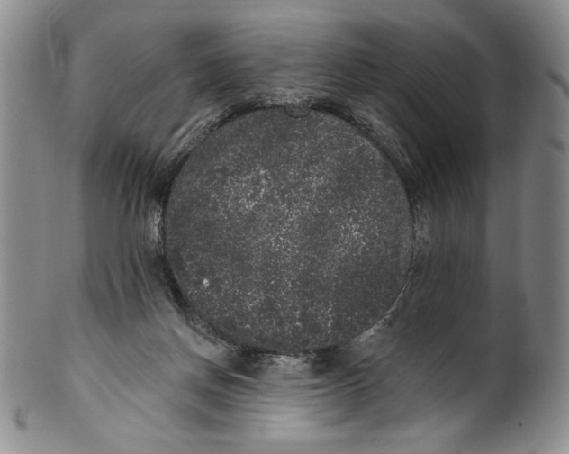 X0000101980166200808081624