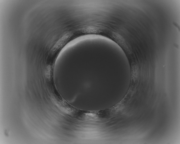 X0000101980167200808081624