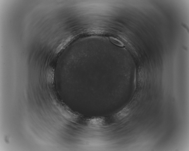 X0000101980168200808081624