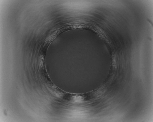 X0000101980169200808081624