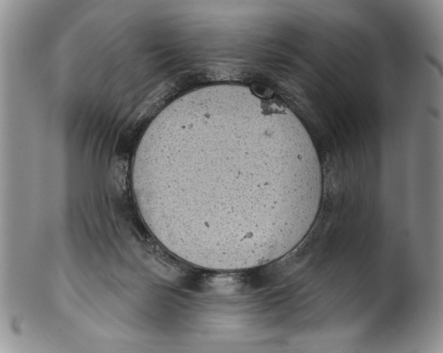 X0000101980171200808081624