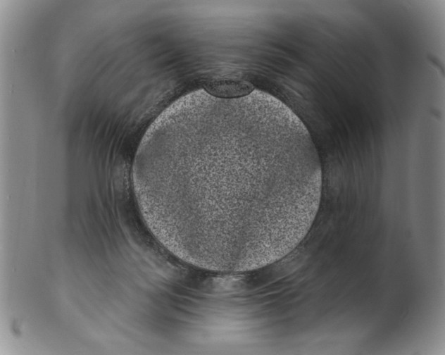 X0000101980172200808081624