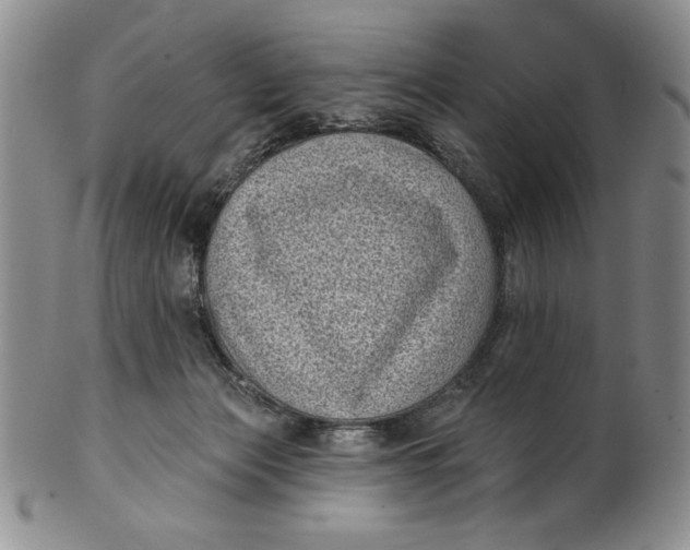 X0000101980173200808081624