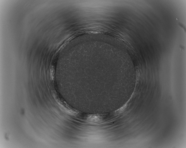 X0000101980174200808081624