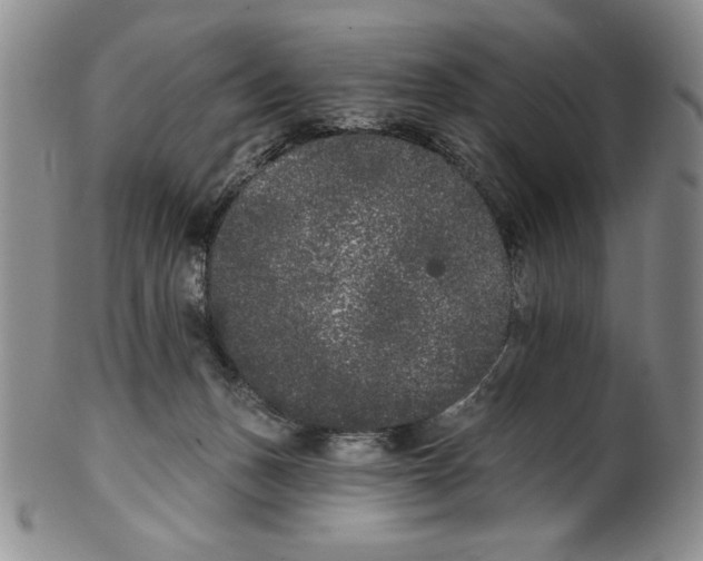 X0000101980175200808081624