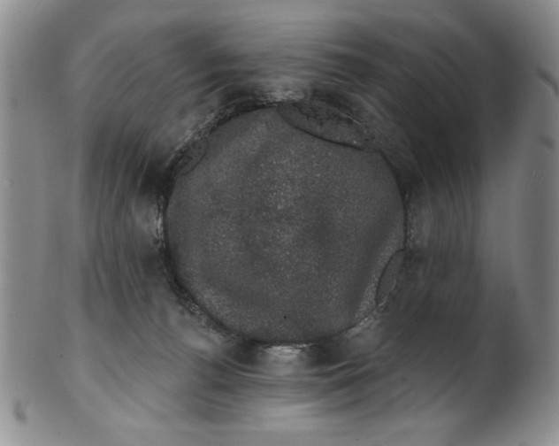 X0000101980176200808081624