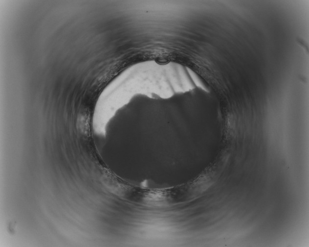 X0000101980177200808081624