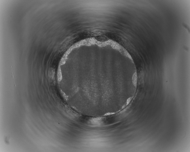 X0000101980178200808081624