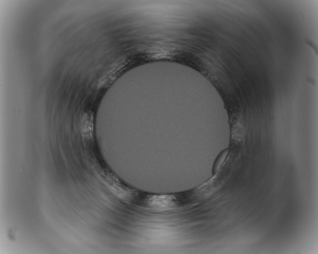 X0000101980179200808081624