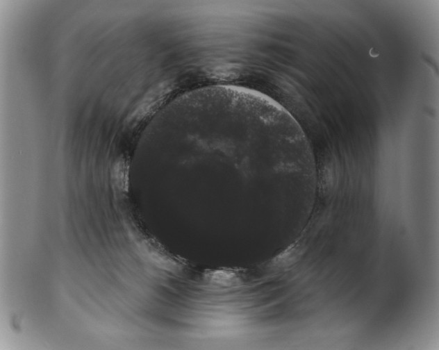 X0000101980180200808081624