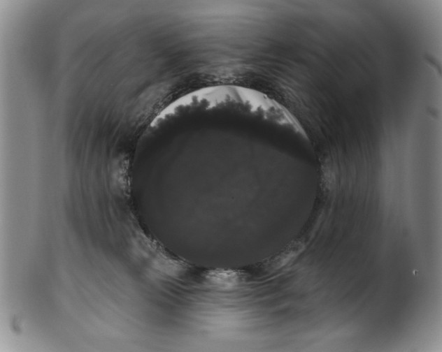 X0000101980181200808081624