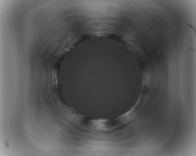 X0000101980182200808081624