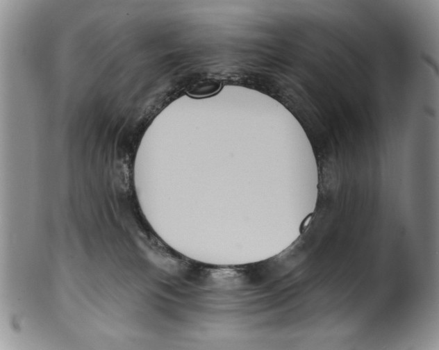 X0000101980183200808081624