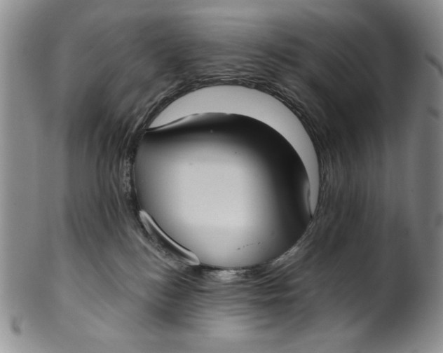 X0000101980184200808081624