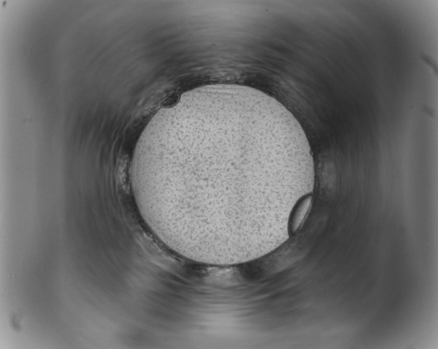 X0000101980185200808081624