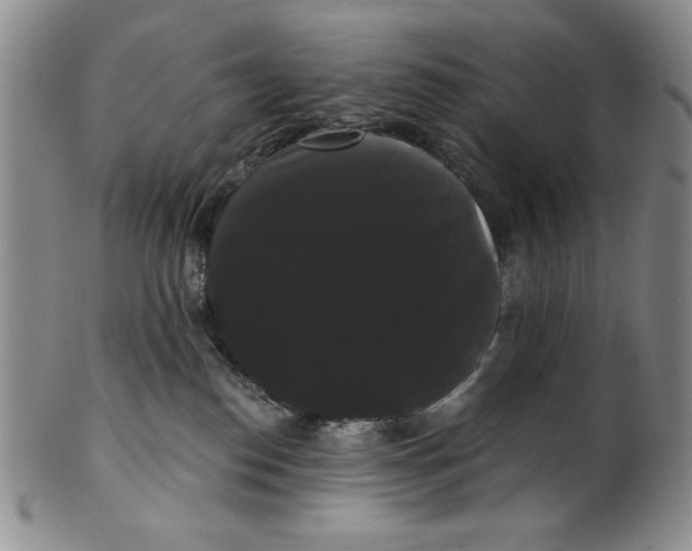 X0000101980186200808081624