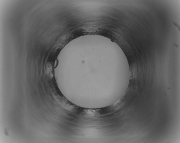 X0000101980187200808081624