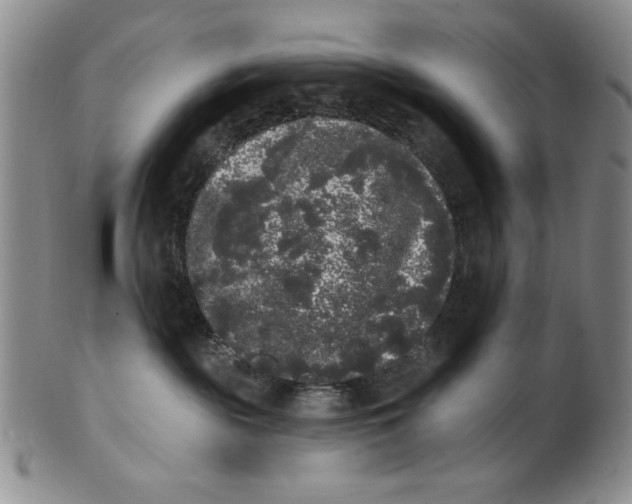 X0000101980189200808081624