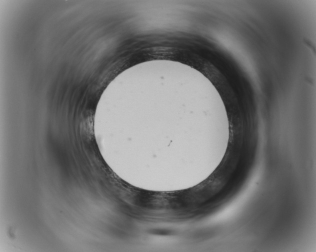 X0000101980190200808081624