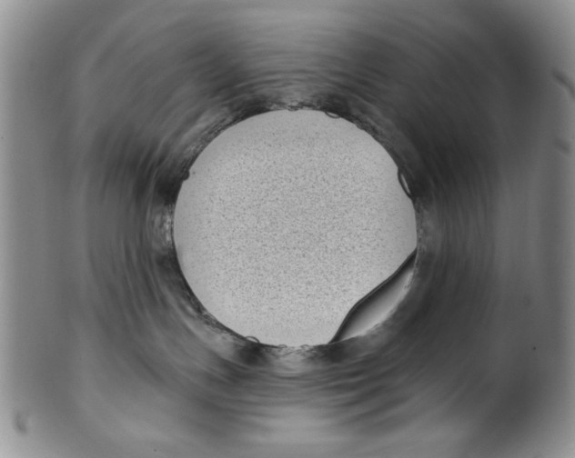 X0000101980191200808081624