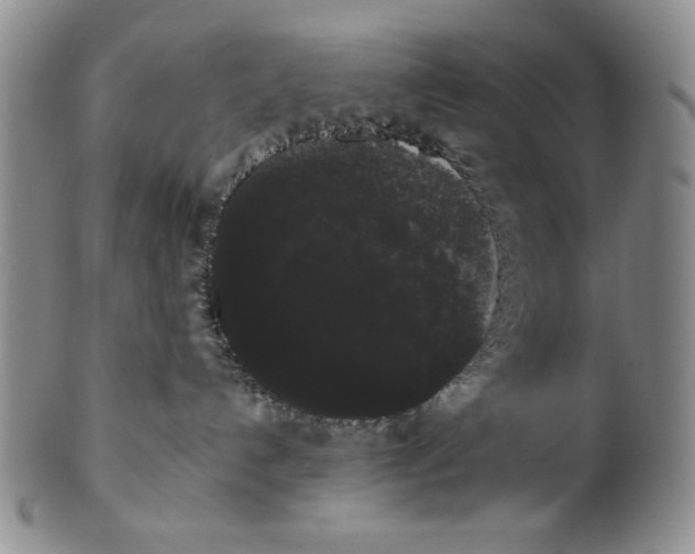 X0000101980192200808081624