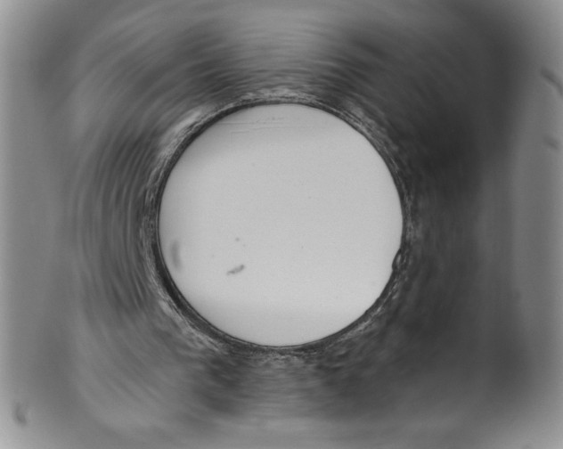 X0000101980193200808081623