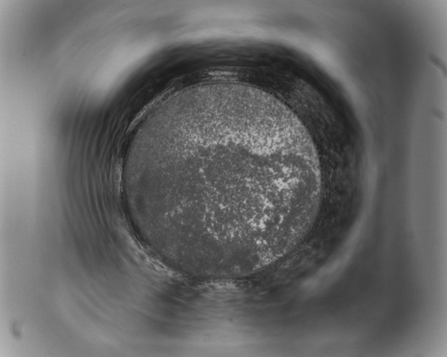 X0000101980194200808081623