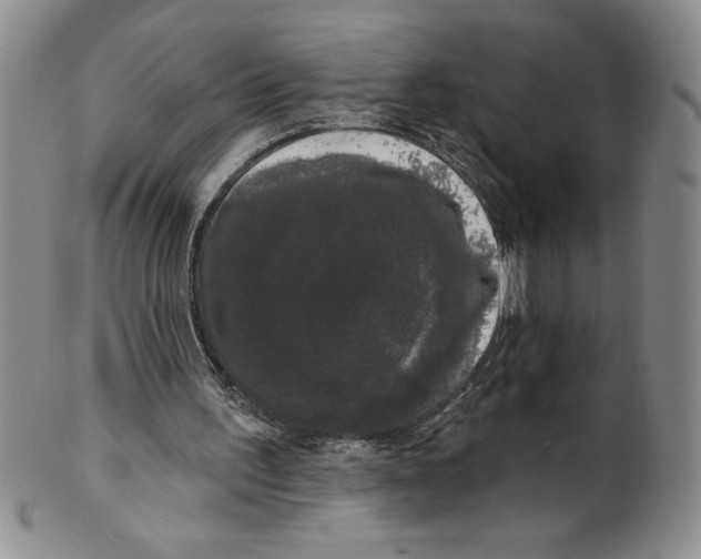 X0000101980195200808081623