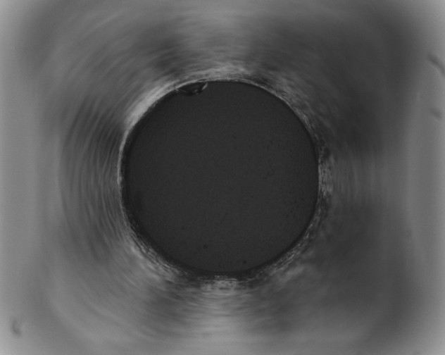 X0000101980196200808081623