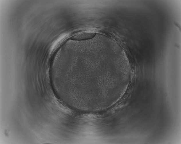 X0000101980197200808081623