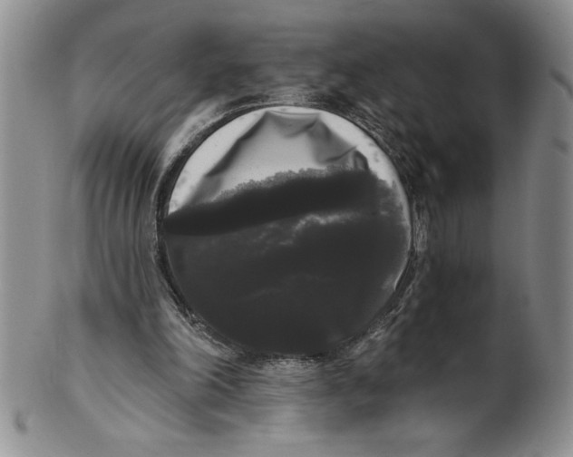 X0000101980198200808081623