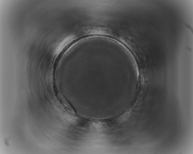 X0000101980199200808081623