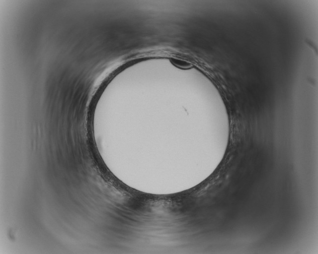 X0000101980200200808081623