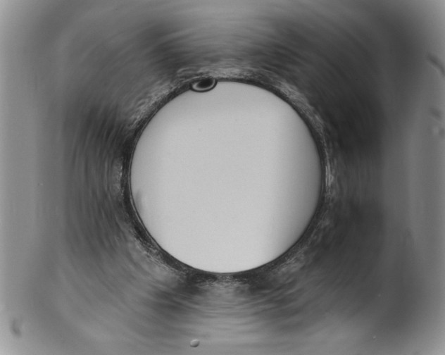 X0000101980201200808081623