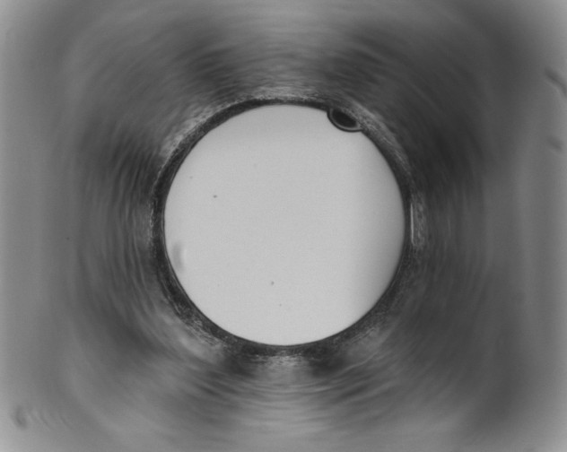 X0000101980204200808081623