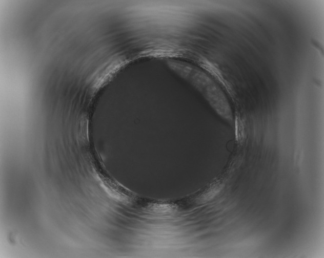 X0000101980205200808081623