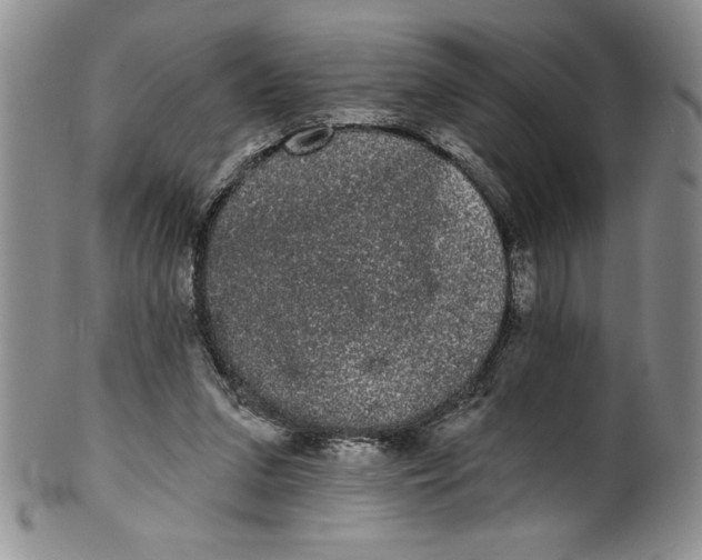 X0000101980207200808081623