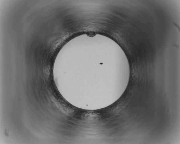 X0000101980208200808081623