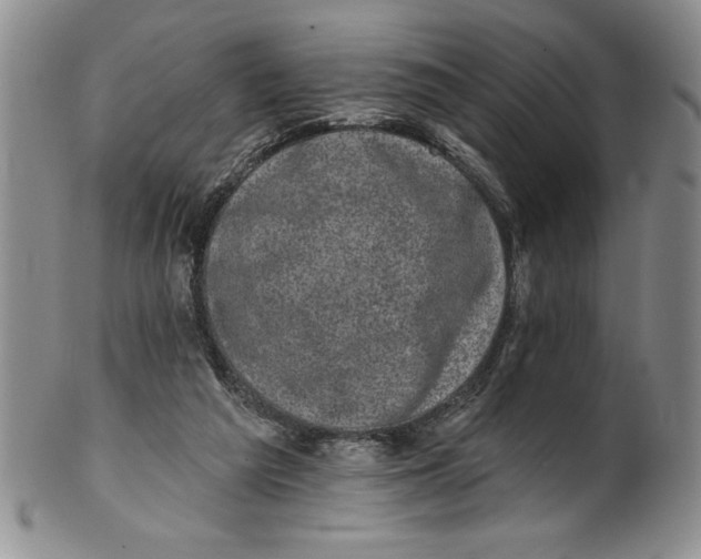 X0000101980209200808081623