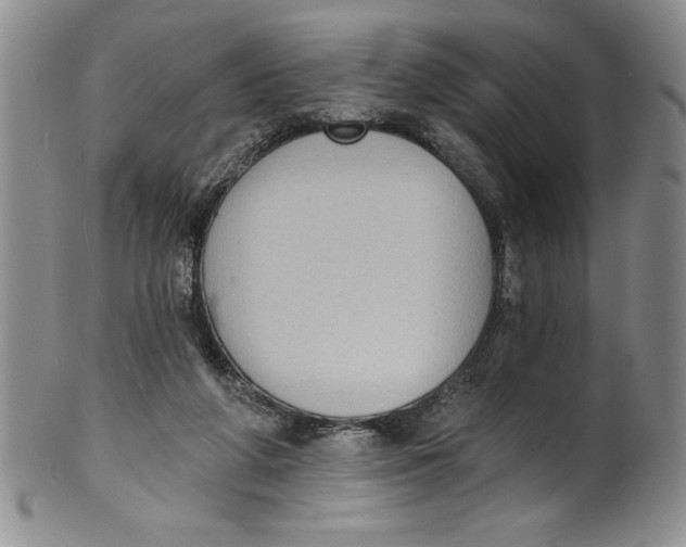 X0000101980210200808081623