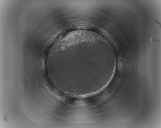 X0000101980211200808081623