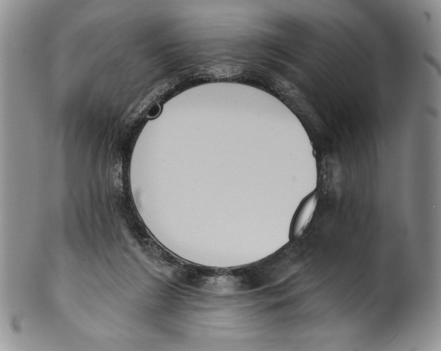 X0000101980212200808081623